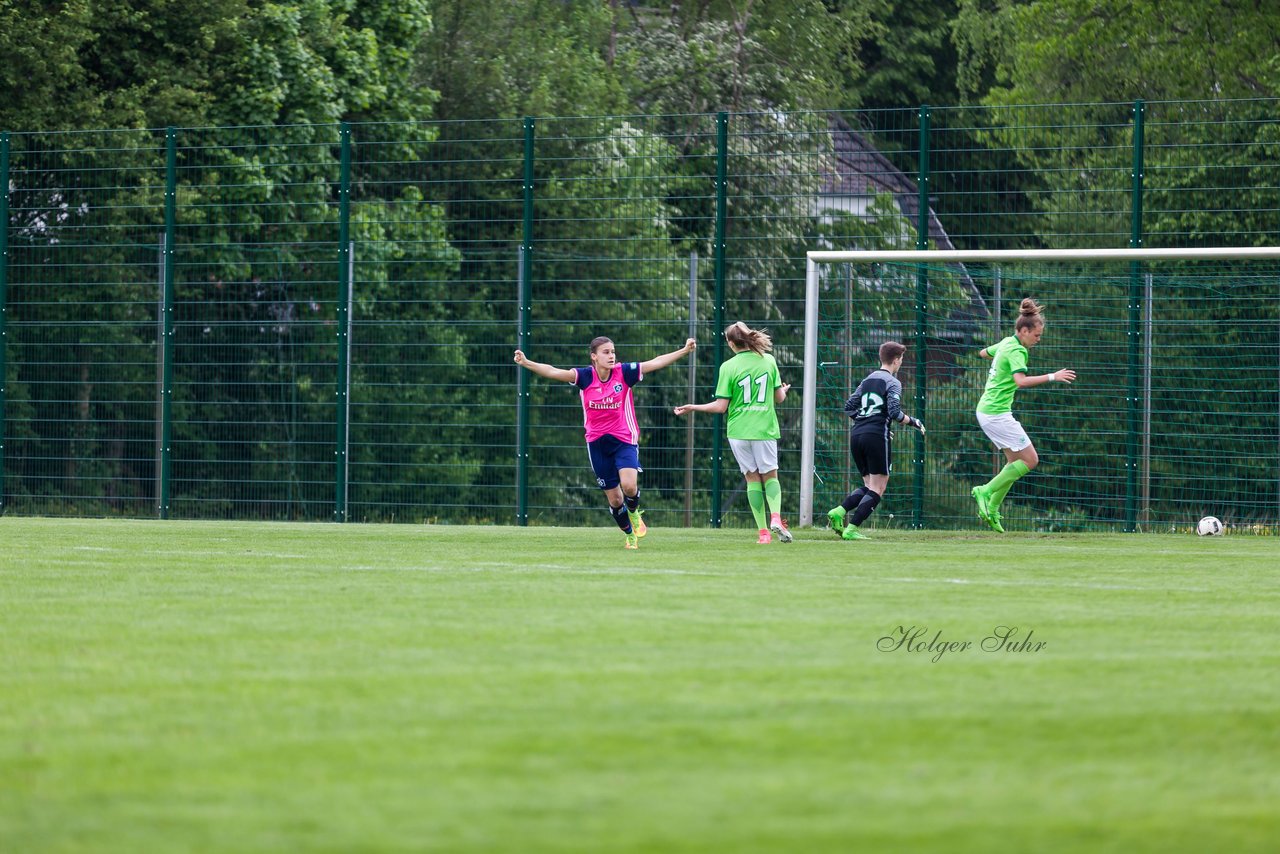 Bild 237 - wBJ HSV - VfL Wolfsburg : Ergebnis: 4:1